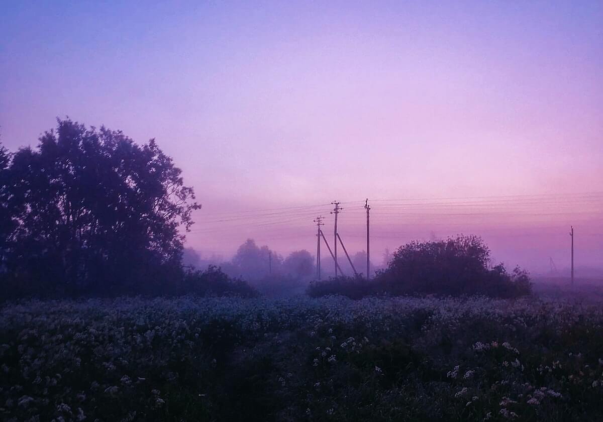 拿柚子影视当材料：用我用摘要法复述做一次把“据说”拆成证据